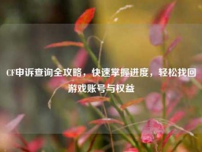 CF申诉查询全攻略，快速掌握进度，轻松找回游戏账号与权益