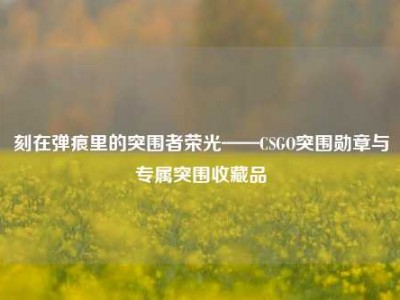 刻在弹痕里的突围者荣光——CSGO突围勋章与专属突围收藏品