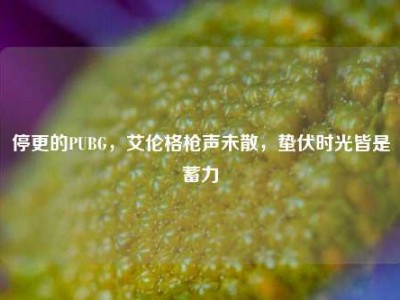 停更的PUBG，艾伦格枪声未散，蛰伏时光皆是蓄力