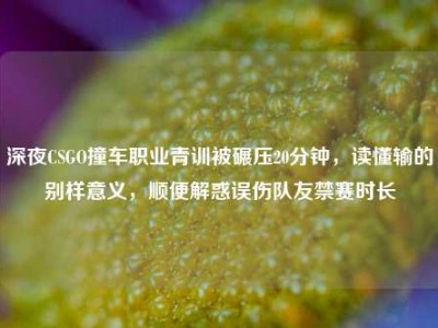深夜CSGO撞车职业青训被碾压20分钟，读懂输的别样意义，顺便解惑误伤队友禁赛时长