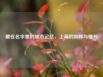 藏在名字里的城市记忆，上海的别称与雅号