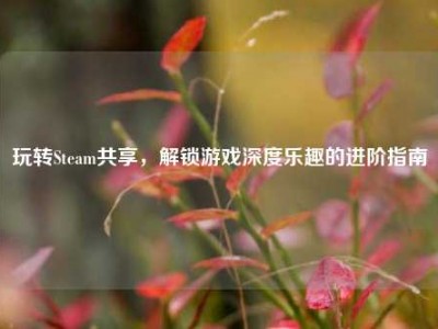 玩转Steam共享，解锁游戏深度乐趣的进阶指南