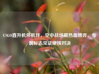 CSGO直升机停机坪，空中战场藏热血博弈，专属标志见证硬核对决