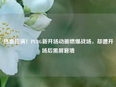 热血拉满！PUBG新开场动画燃爆战场，却遭开场后黑屏窘境