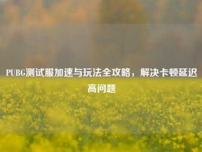 PUBG测试服加速与玩法全攻略，解决卡顿延迟高问题