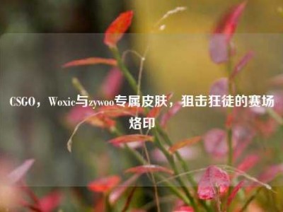 CSGO，Woxic与zywoo专属皮肤，狙击狂徒的赛场烙印