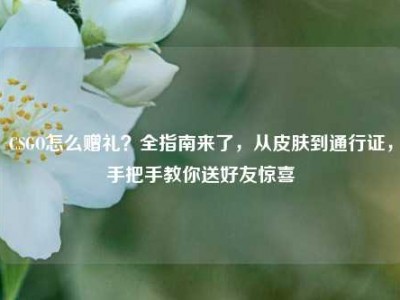 CSGO怎么赠礼？全指南来了，从皮肤到通行证，手把手教你送好友惊喜
