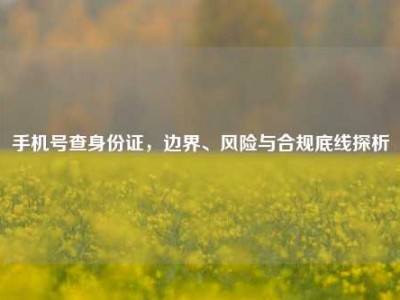 手机号查身份证，边界、风险与合规底线探析