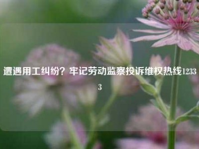 遭遇用工纠纷？牢记劳动监察投诉维权热线12333