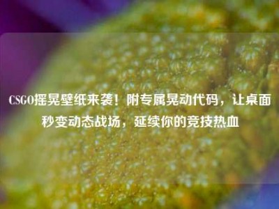 CSGO摇晃壁纸来袭！附专属晃动代码，让桌面秒变动态战场，延续你的竞技热血