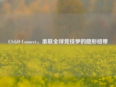 CS:GO Connect，串联全球竞技梦的隐形纽带