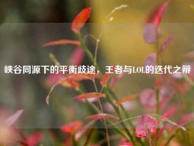 峡谷同源下的平衡歧途，王者与LOL的迭代之辩