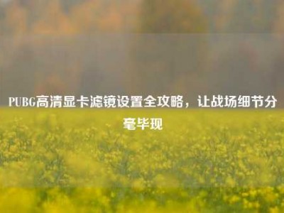 PUBG高清显卡滤镜设置全攻略，让战场细节分毫毕现