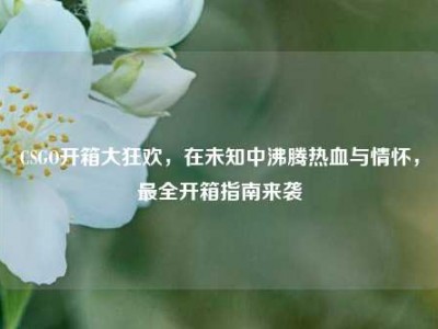 CSGO开箱大狂欢，在未知中沸腾热血与情怀，最全开箱指南来袭