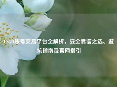 CSGO账号交易平台全解析，安全靠谱之选、避坑指南及官网指引