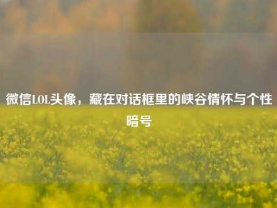 微信LOL头像，藏在对话框里的峡谷情怀与个性暗号