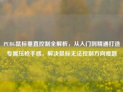 PUBG鼠标垂直控制全解析，从入门到精通打造专属压枪手感，解决鼠标无法控制方向难题