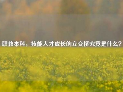 职教本科，技能人才成长的立交桥究竟是什么？