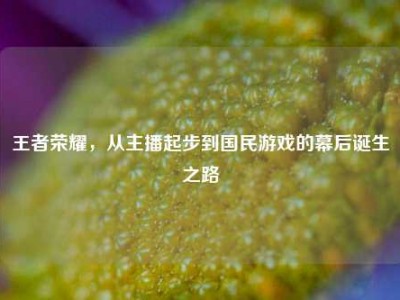王者荣耀，从主播起步到国民游戏的幕后诞生之路