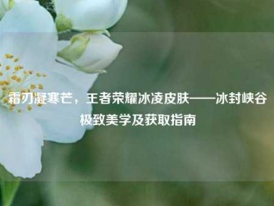 霜刃凝寒芒，王者荣耀冰凌皮肤——冰封峡谷极致美学及获取指南