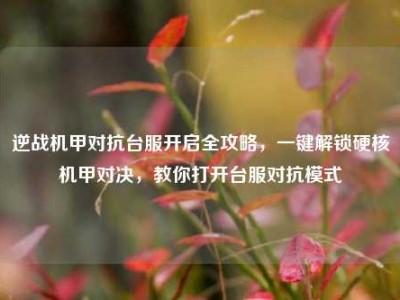 逆战机甲对抗台服开启全攻略，一键解锁硬核机甲对决，教你打开台服对抗模式