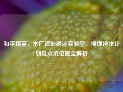 和平精英，水厂深处锈迹实验室、掩埋净水计划及水坑位置全解析