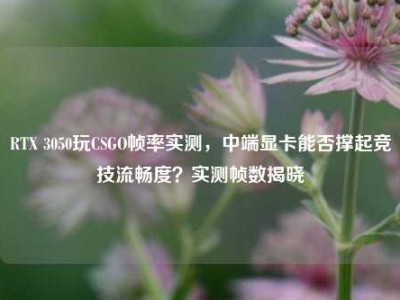 RTX 3050玩CSGO帧率实测，中端显卡能否撑起竞技流畅度？实测帧数揭晓