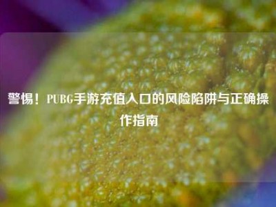 警惕！PUBG手游充值入口的风险陷阱与正确操作指南