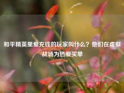 和平精英里爱充钱的玩家叫什么？他们在虚拟战场为热爱买单