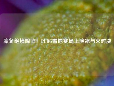 凛冬绝境降临！PUBG雪地赛场上演冰与火对决