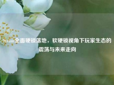 Steam全面硬锁落地，软硬锁视角下玩家生态的震荡与未来走向