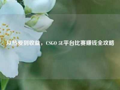 从热爱到收益，CSGO 5E平台比赛赚钱全攻略
