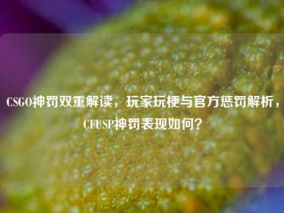 CSGO神罚双重解读，玩家玩梗与官方惩罚解析，CFUSP神罚表现如何？
