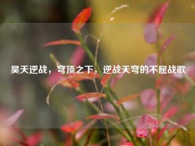 昊天逆战，穹顶之下，逆战天穹的不屈战歌