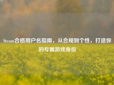 Steam合格用户名指南，从合规到个性，打造你的专属游戏身份