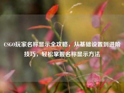 CSGO玩家名称显示全攻略，从基础设置到进阶技巧，轻松掌握名称显示方法