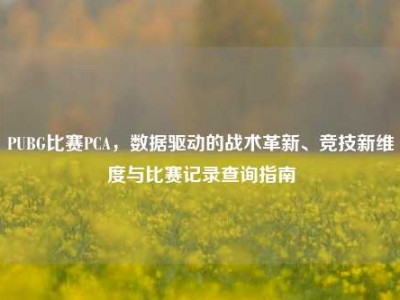 PUBG比赛PCA，数据驱动的战术革新、竞技新维度与比赛记录查询指南