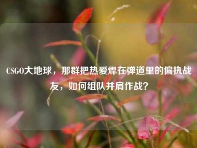 CSGO大地球，那群把热爱焊在弹道里的偏执战友，如何组队并肩作战？