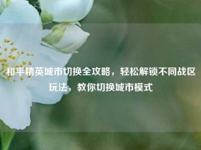 和平精英城市切换全攻略，轻松解锁不同战区玩法，教你切换城市模式