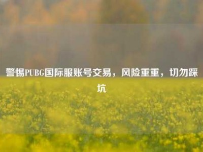 警惕PUBG国际服账号交易，风险重重，切勿踩坑