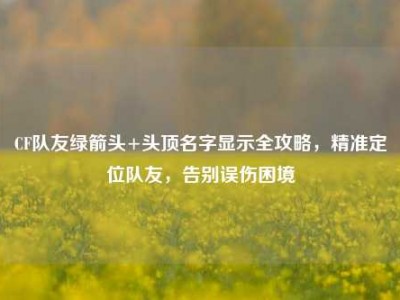 CF队友绿箭头+头顶名字显示全攻略，精准定位队友，告别误伤困境