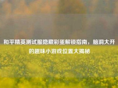 和平精英测试服隐藏彩蛋解锁指南，脑洞大开的趣味小游戏位置大揭秘
