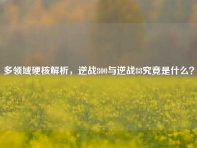 多领域硬核解析，逆战800与逆战88究竟是什么？
