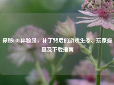 探秘LOL体验服，补丁背后的游戏生态、玩家盛宴及下载指南