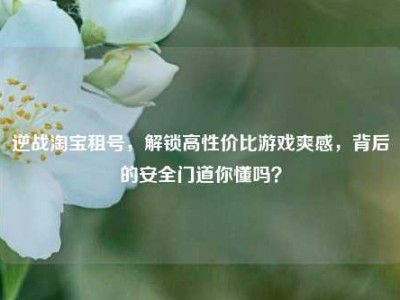 逆战淘宝租号，解锁高性价比游戏爽感，背后的安全门道你懂吗？
