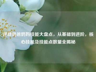 逆战奶爸奶妈技能大盘点，从基础到进阶，核心技能及技能点数量全揭秘