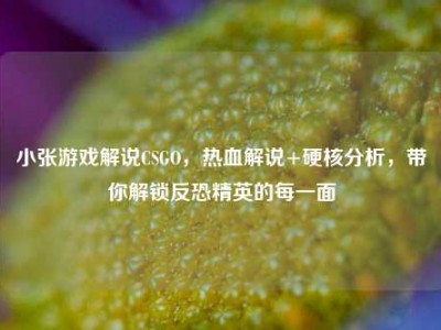 小张游戏解说CSGO，热血解说+硬核分析，带你解锁反恐精英的每一面