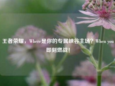 王者荣耀，Where是你的专属峡谷主场？When you即刻燃战！