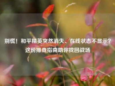别慌！和平精英突然消失、在线状态不显示？这份排查指南助你找回战场