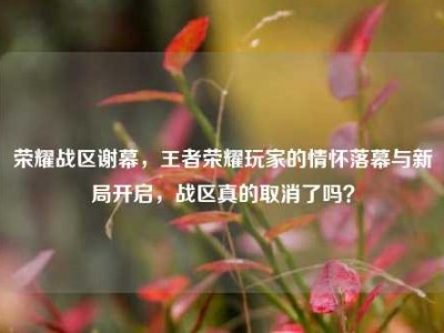 荣耀战区谢幕，王者荣耀玩家的情怀落幕与新局开启，战区真的取消了吗？